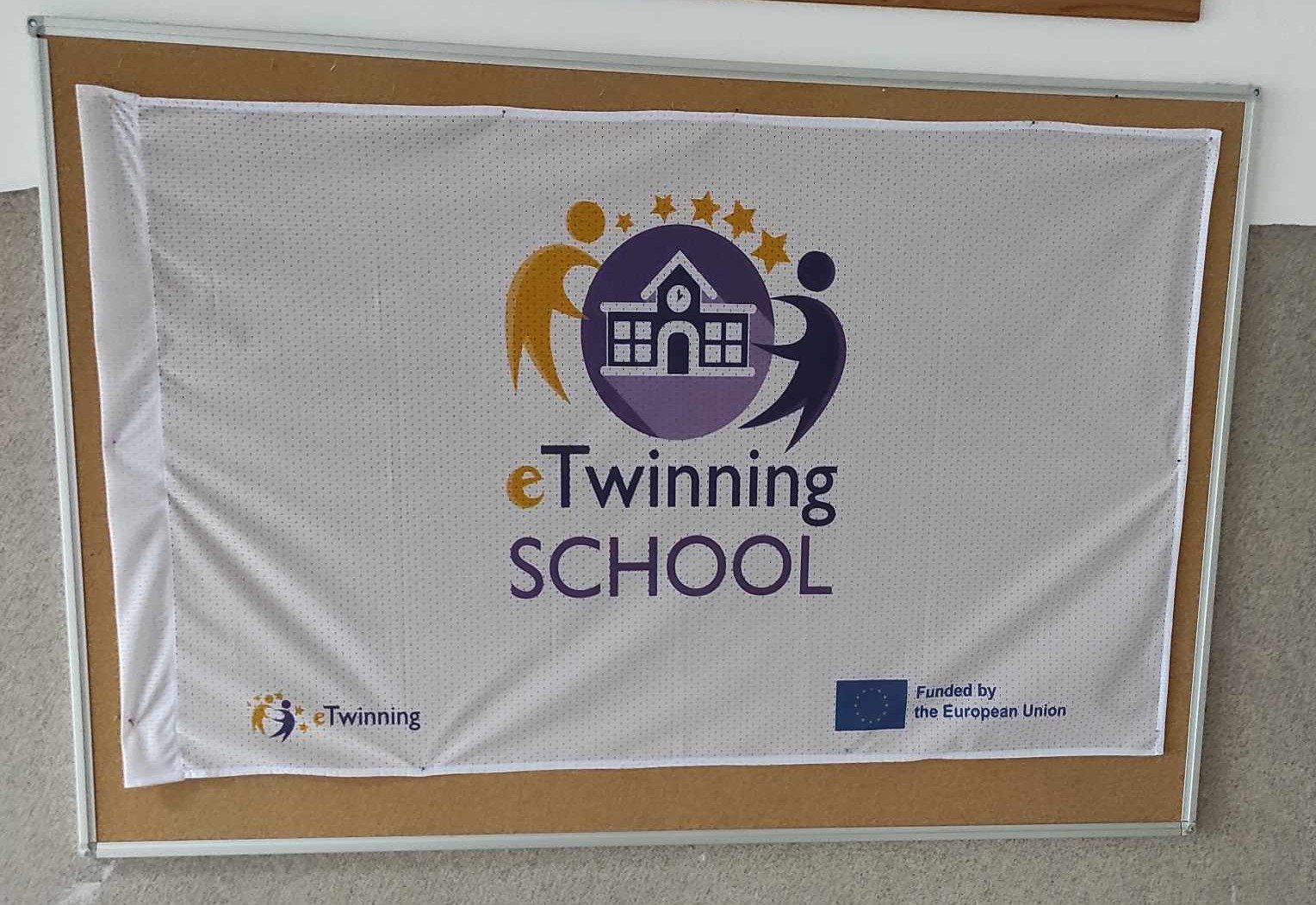 eTwinning zastava