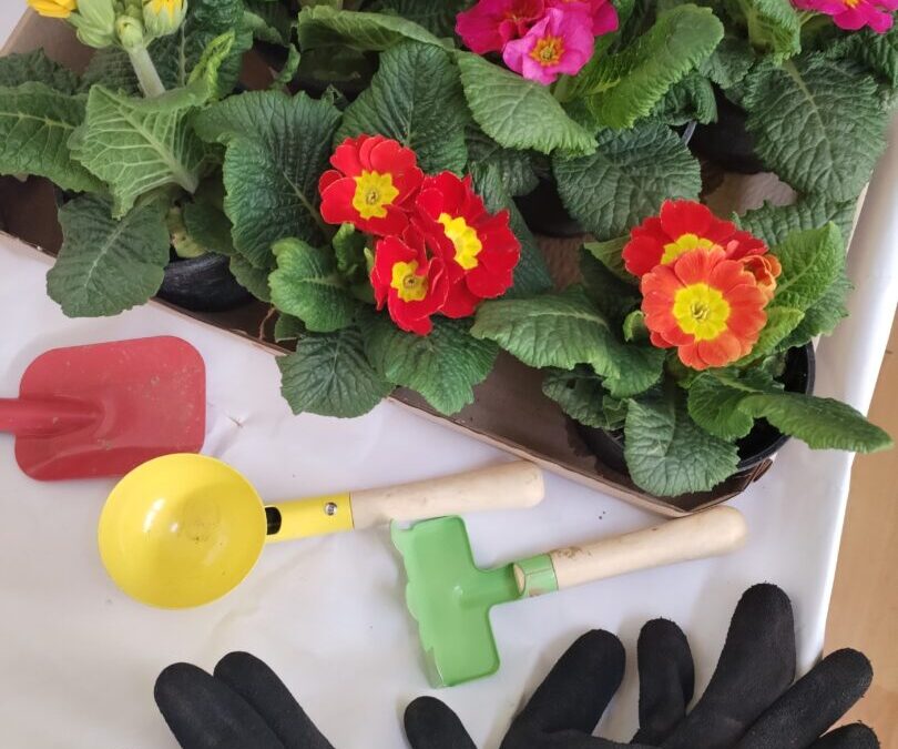 ZAJEDNIŠTVO U BOJAMA PROLJEĆA